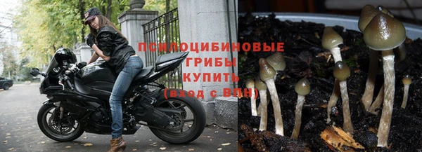 jwh Аркадак