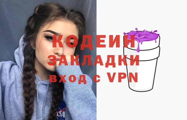 молекула духа Новодвинск