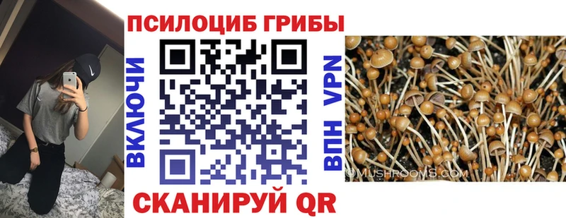 Купить закладки  Верхний Уфалей  Галлюциногенные грибы Psilocybine cubensis 